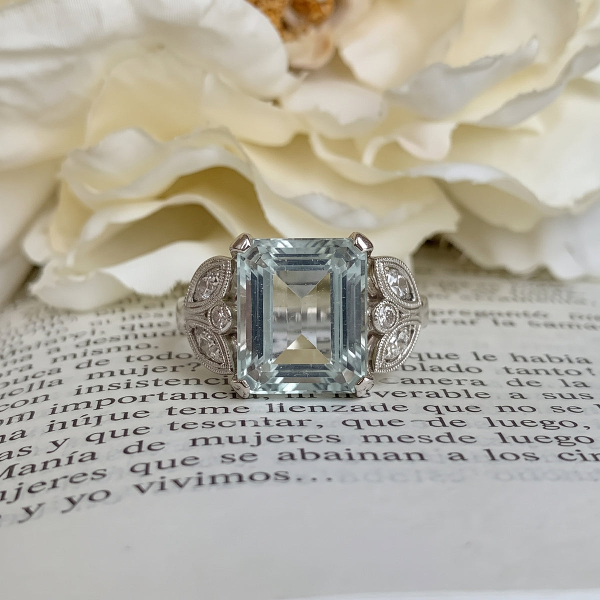 Anillo Selk