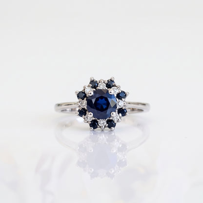 Anillo Bhumi