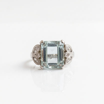 Anillo Selk
