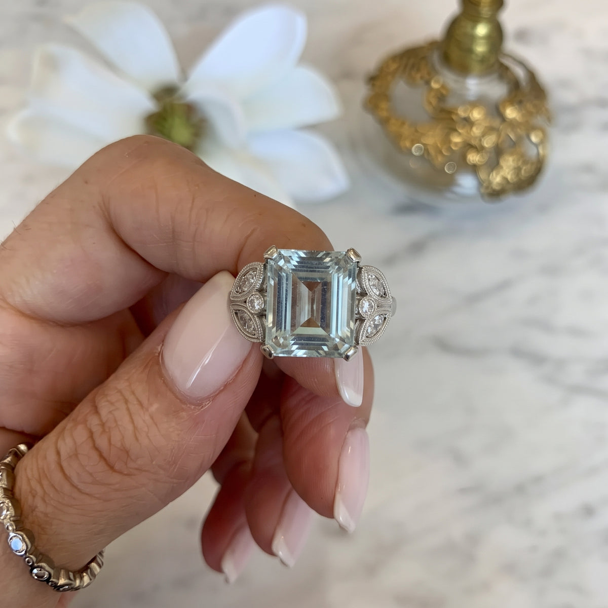 Anillo Selk