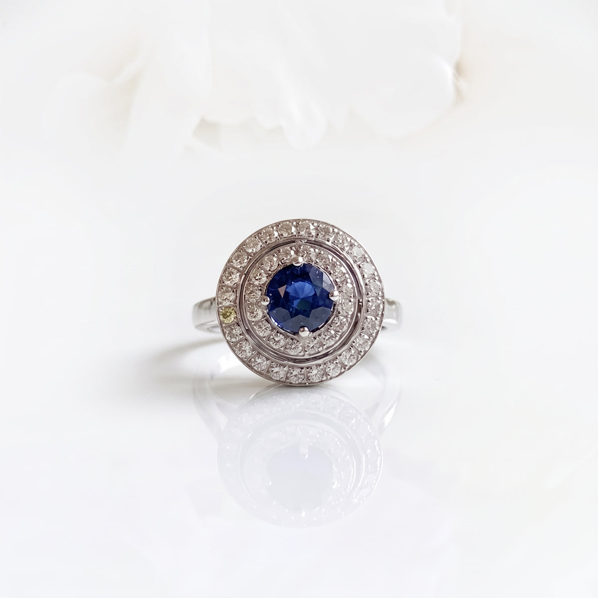 Anillo Niut