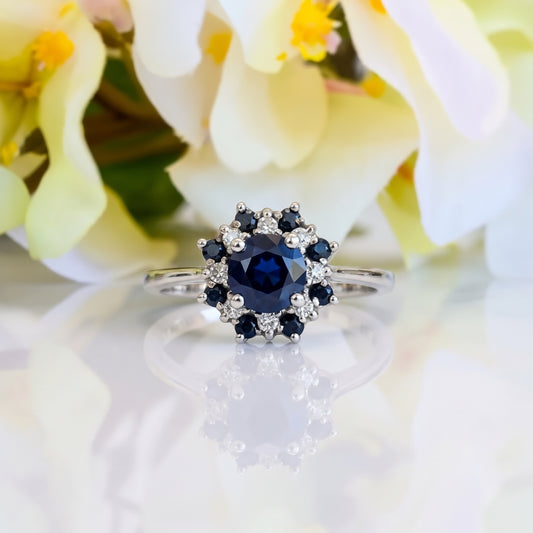 Anillo Bhumi