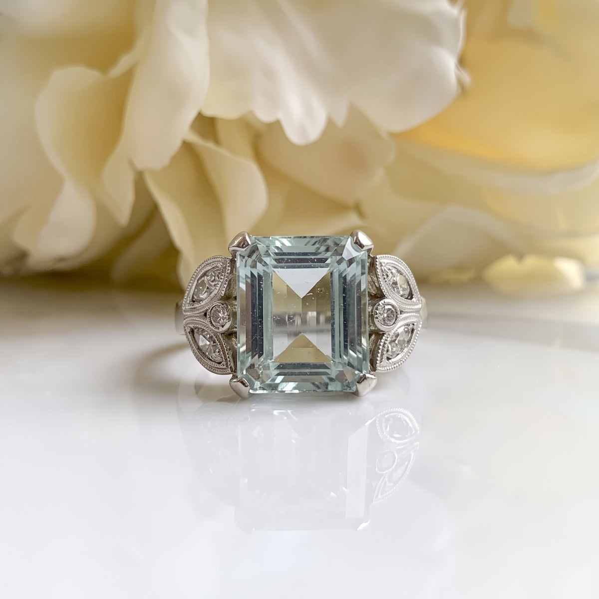 Anillo Selk