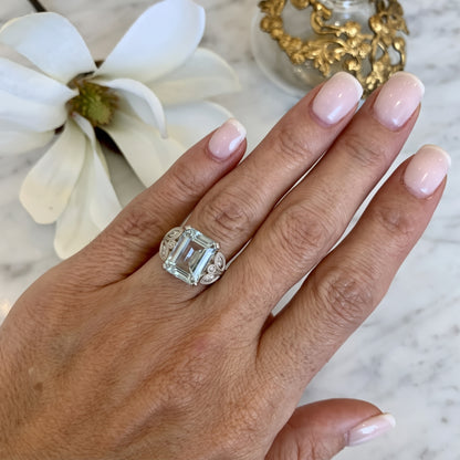 Anillo Selk