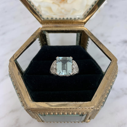 Anillo Selk