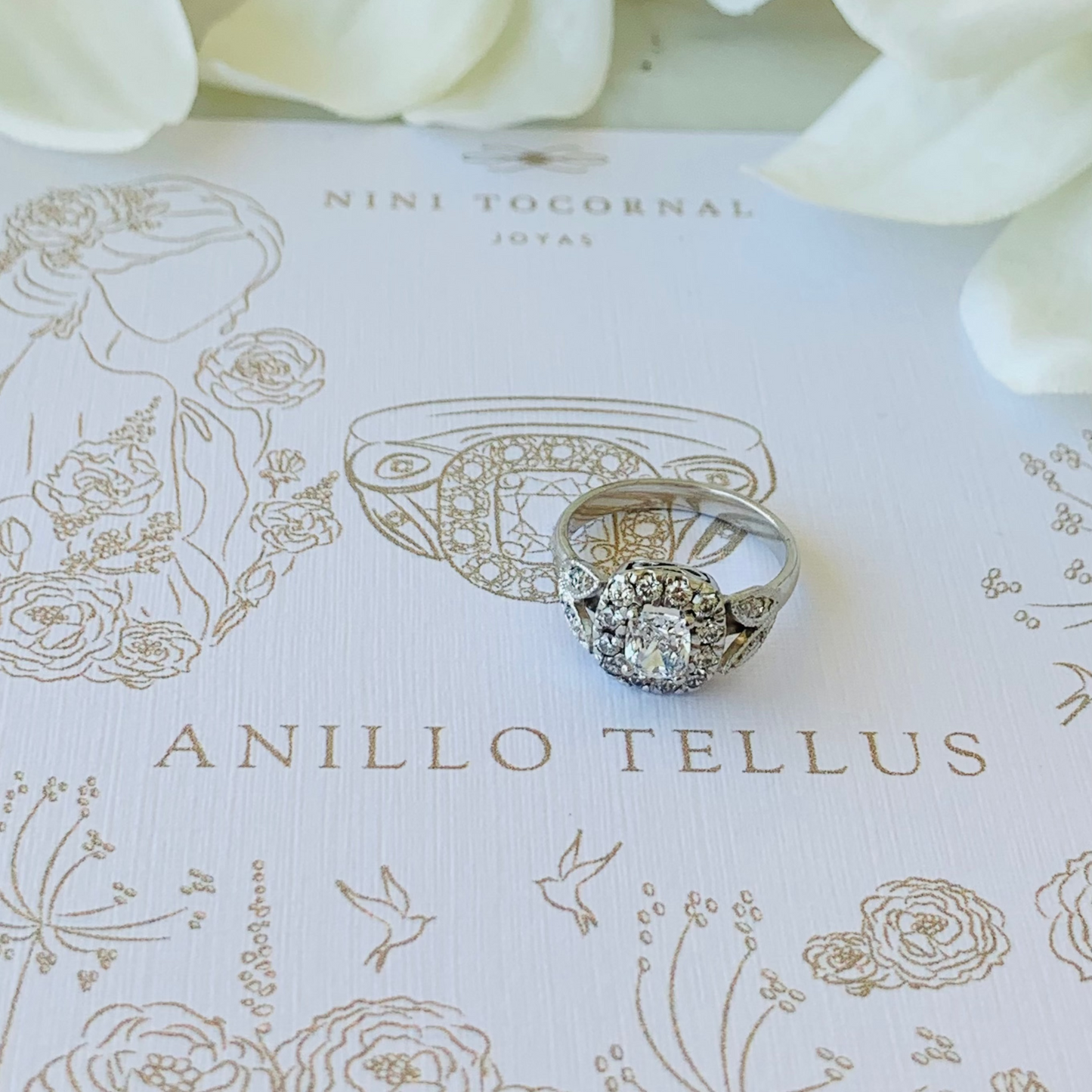 Anillo Tellus