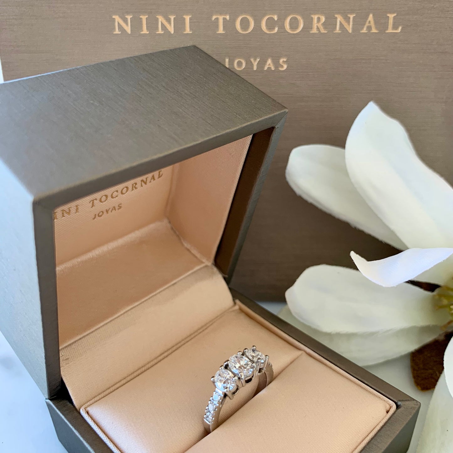 Anillo Eleos