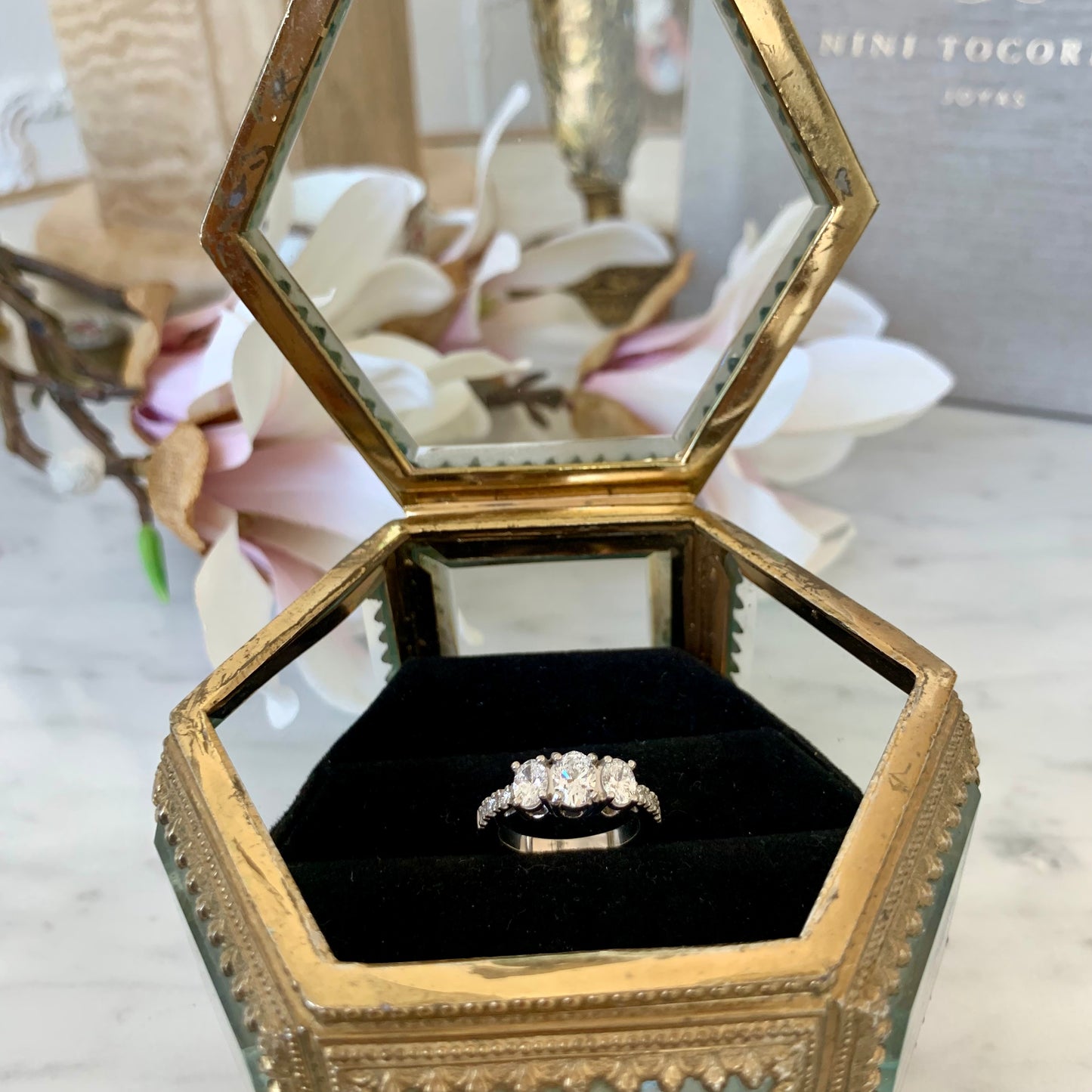 Anillo Eleos