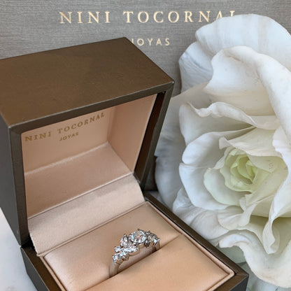 Anillo Gaia