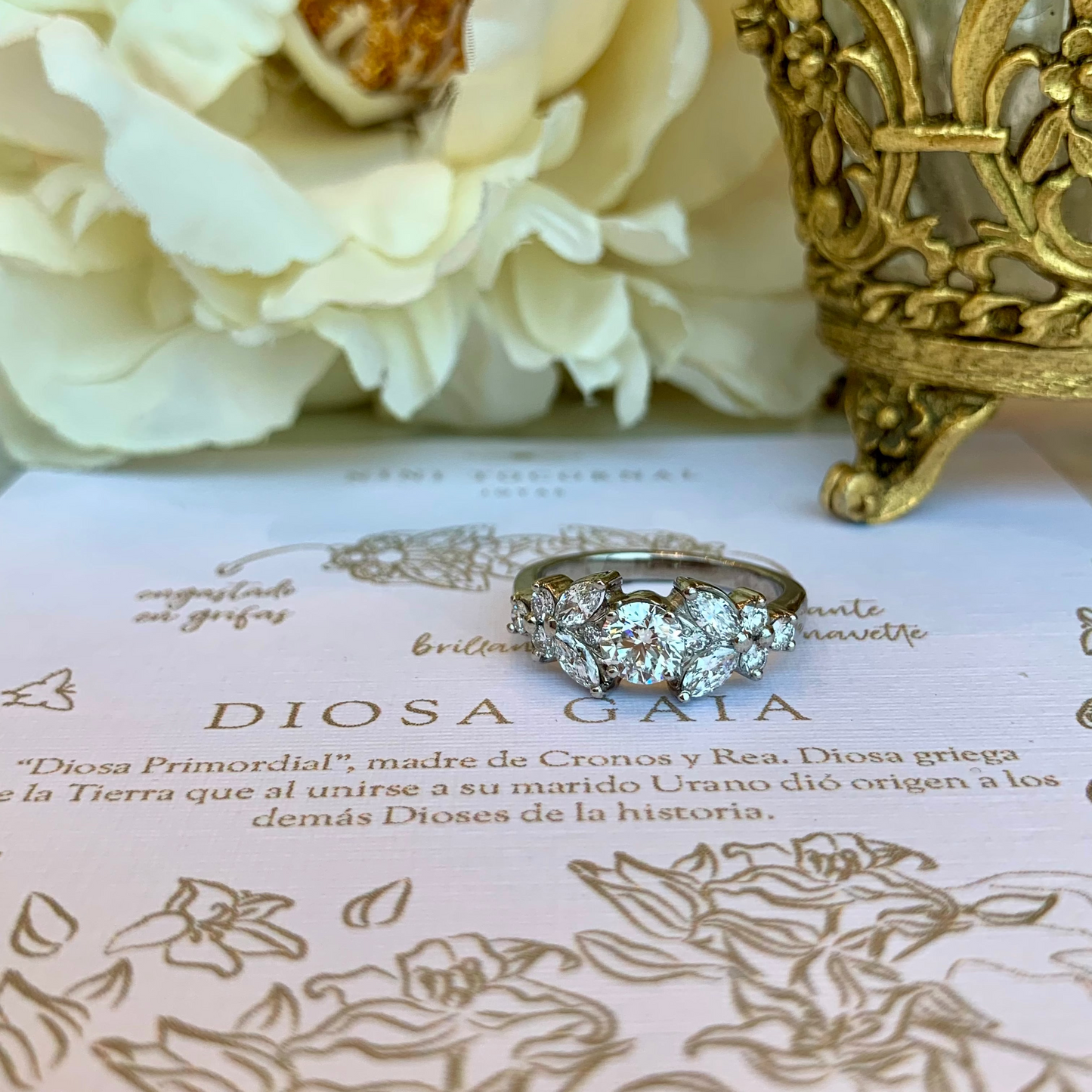 Anillo Gaia