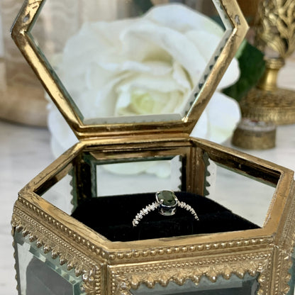 Anillo Eutenea III