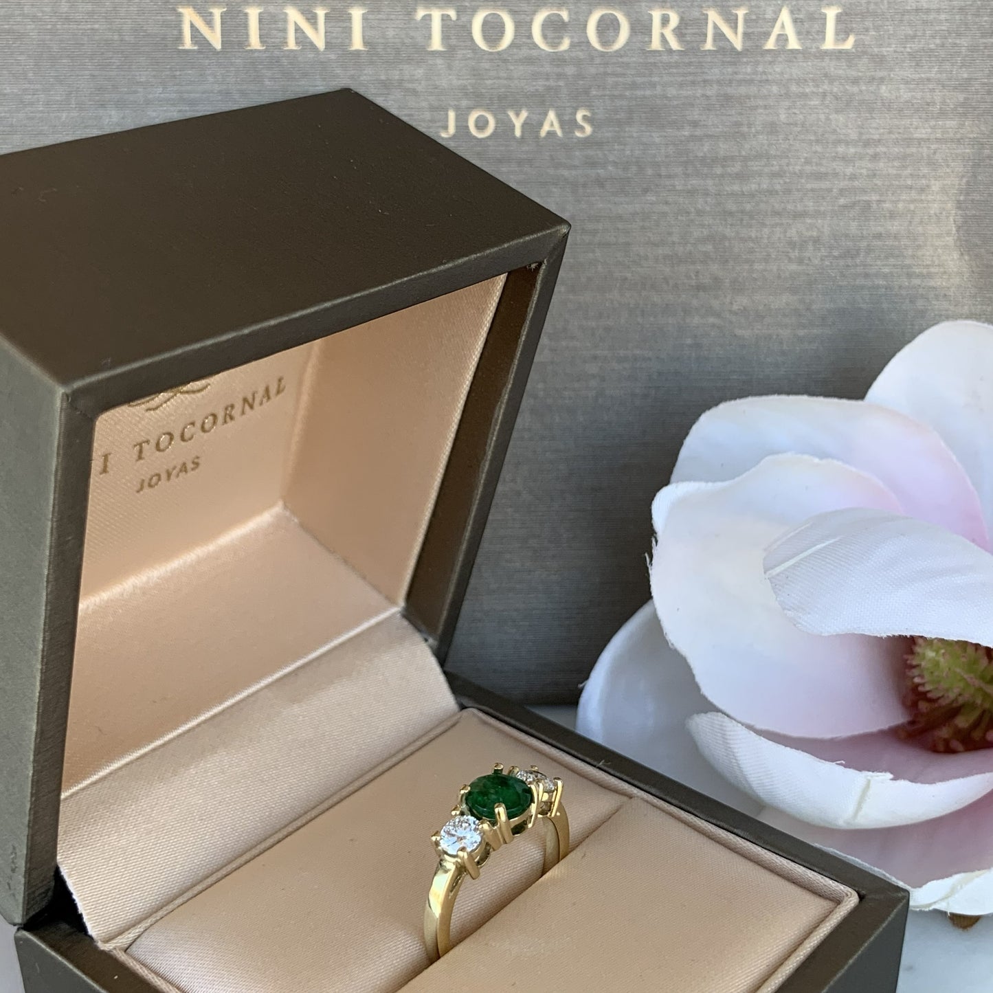 Anillo Mut II
