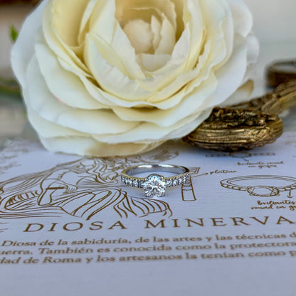Anillo Minerva