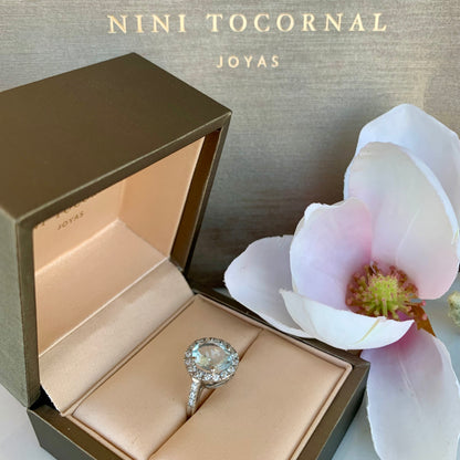 Anillo Netla
