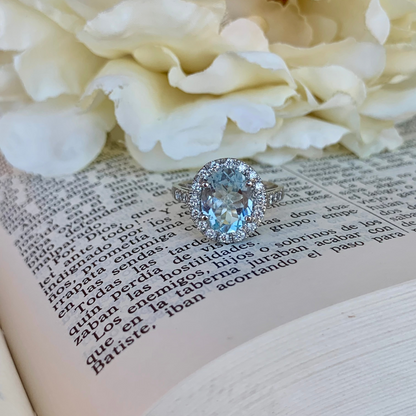 Anillo Netla