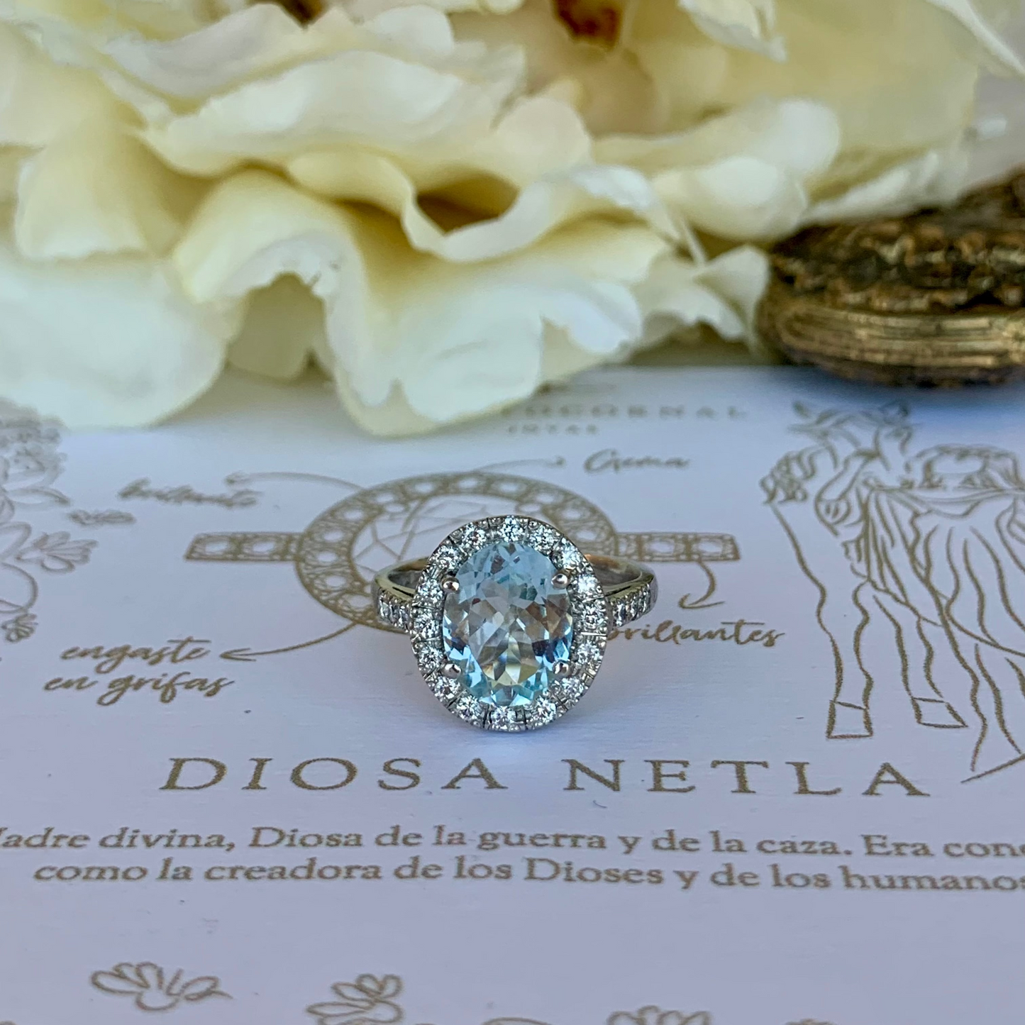 Anillo Netla