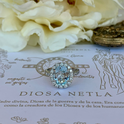 Anillo Netla