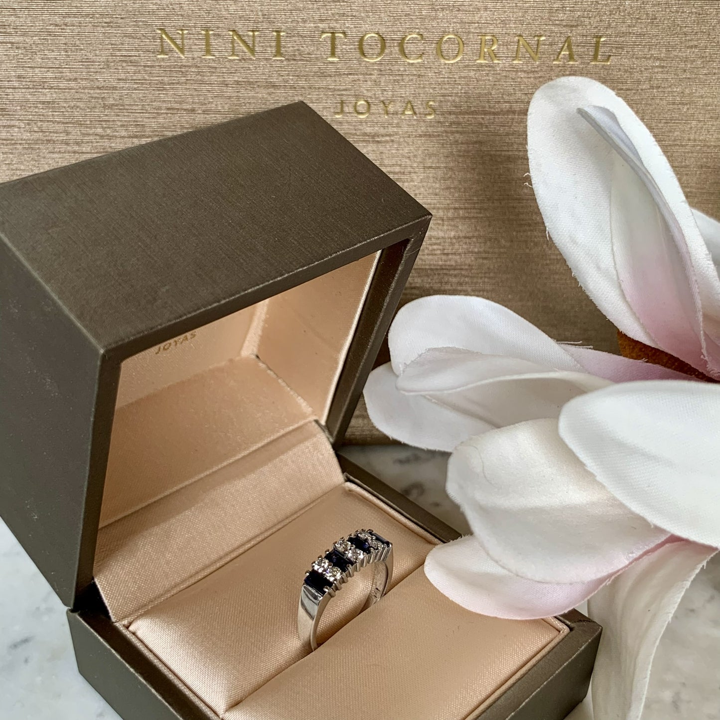 Anillo Isis