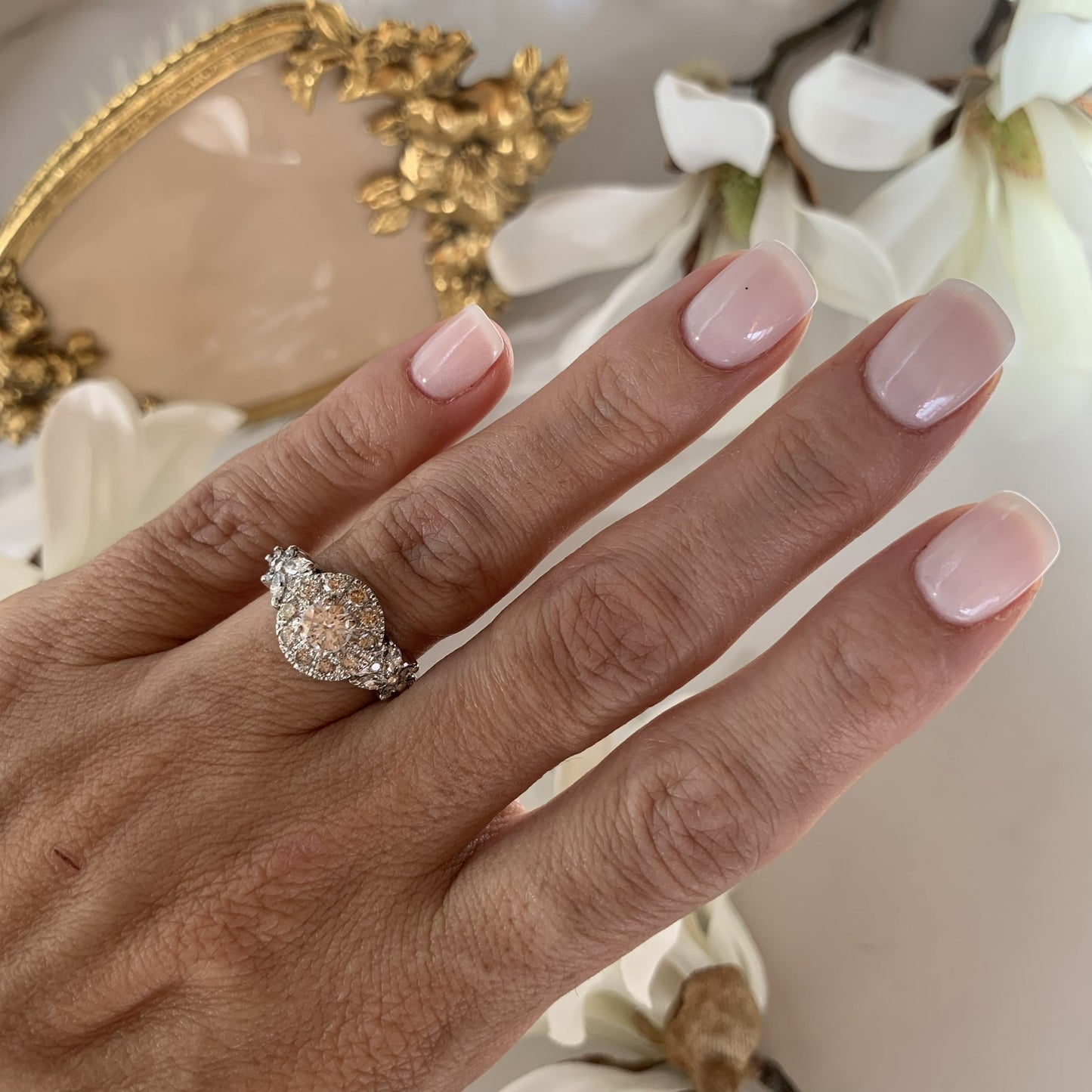 Anillo Pitia