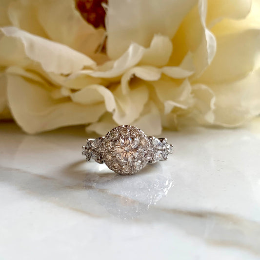 Anillo Pitia
