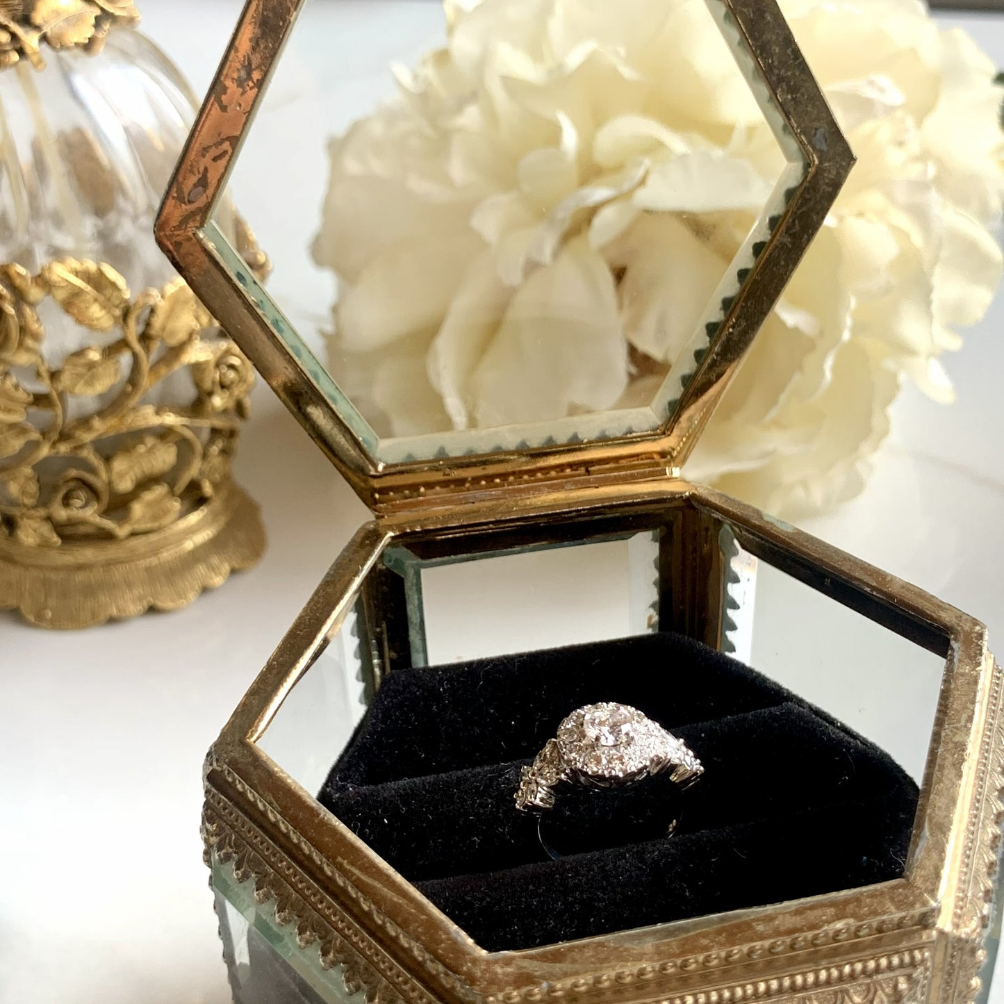Anillo Pitia