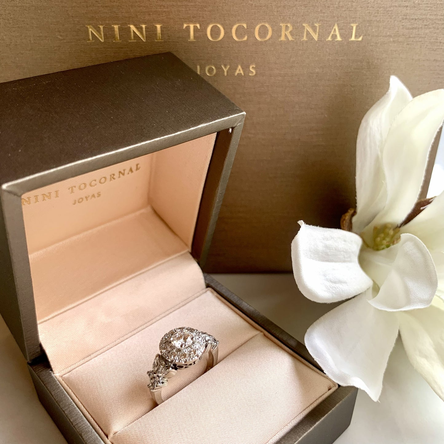 Anillo Pitia