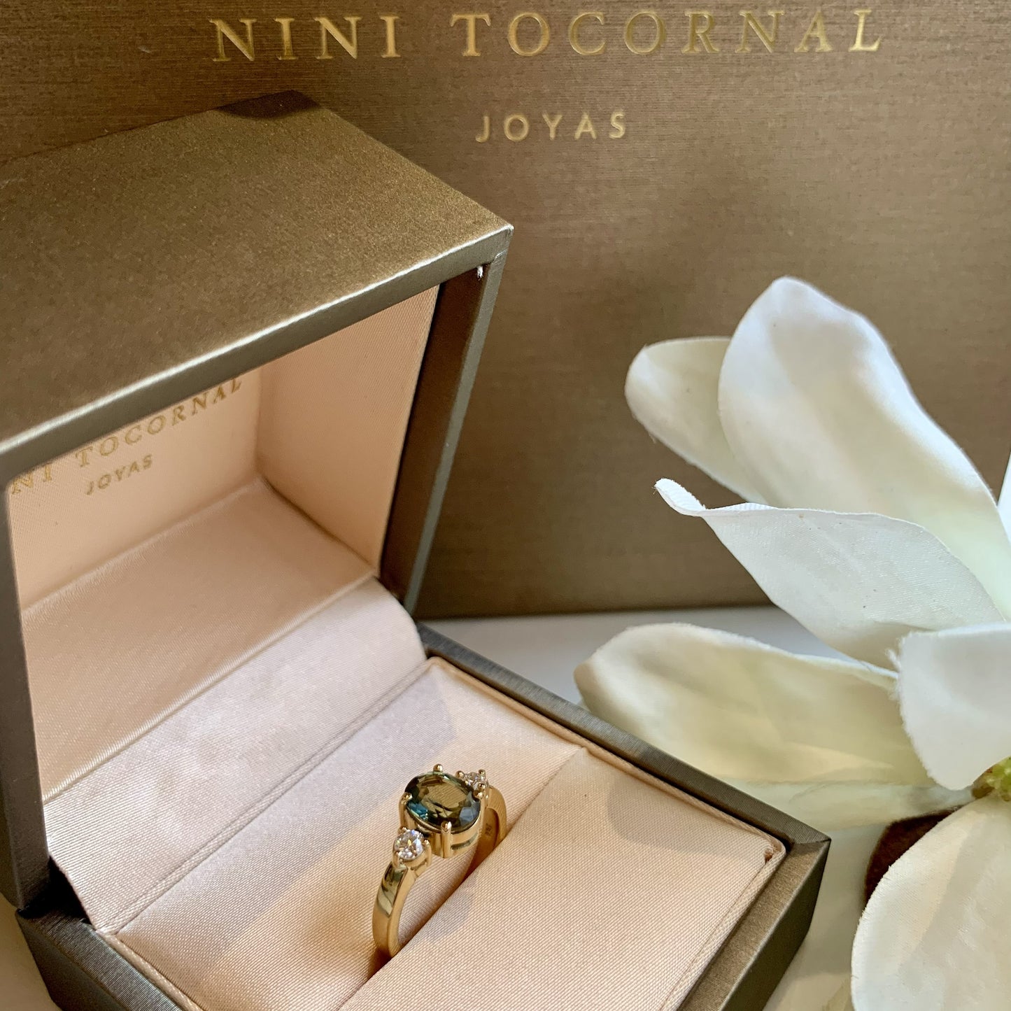 Anillo Menhit II