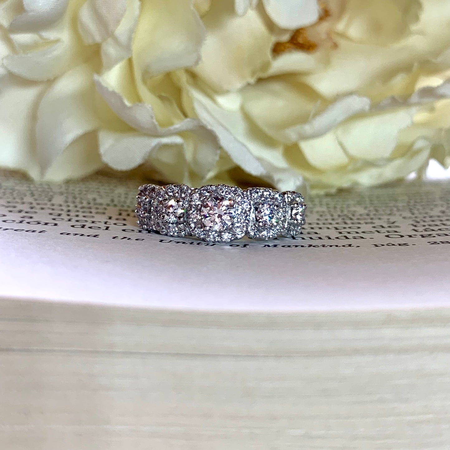 Anillo Sejmet