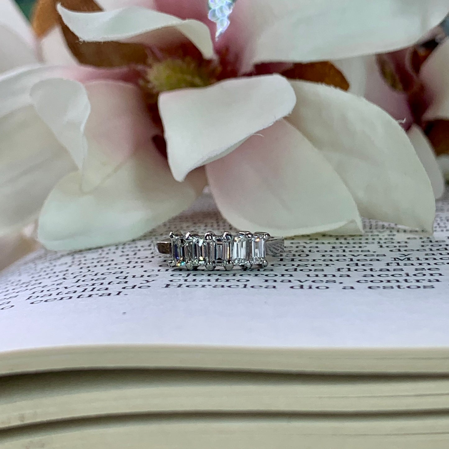 Anillo Setet
