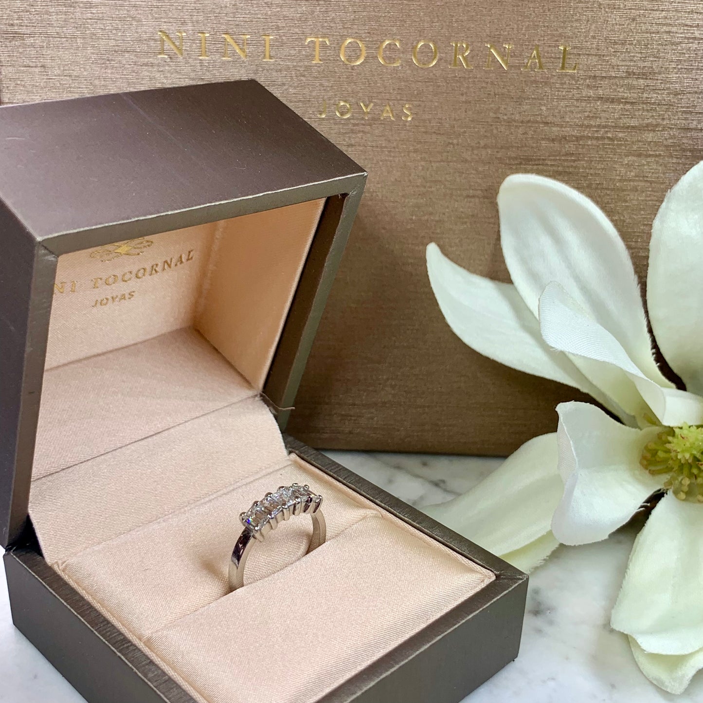 Anillo Setet