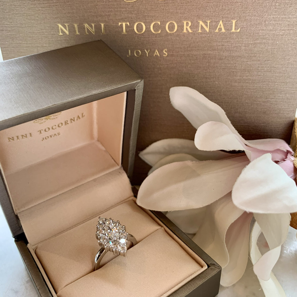 Anillo Morrigan