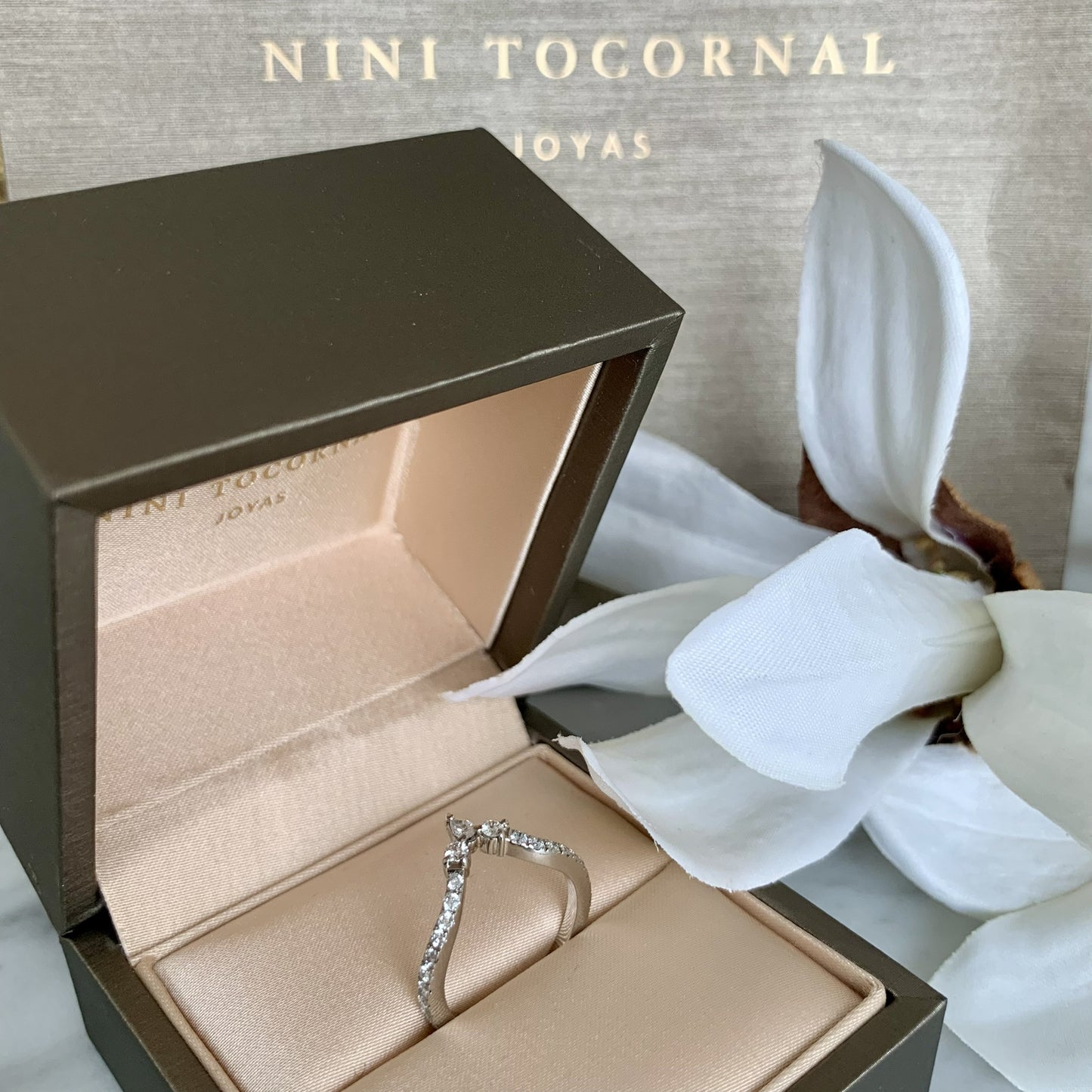 Anillo Psique