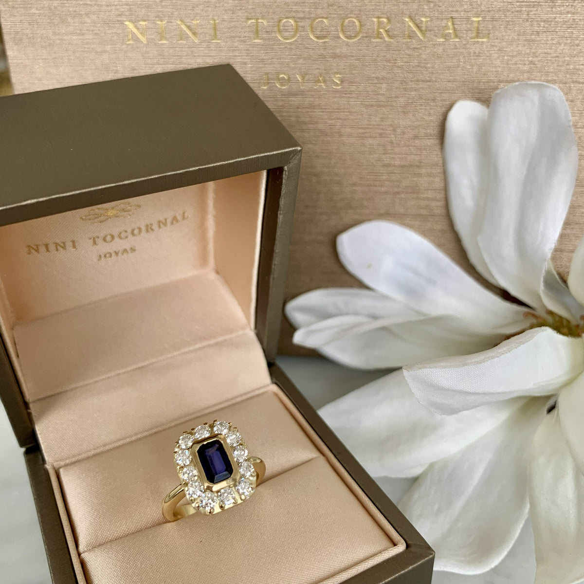 Anillo Maddi II