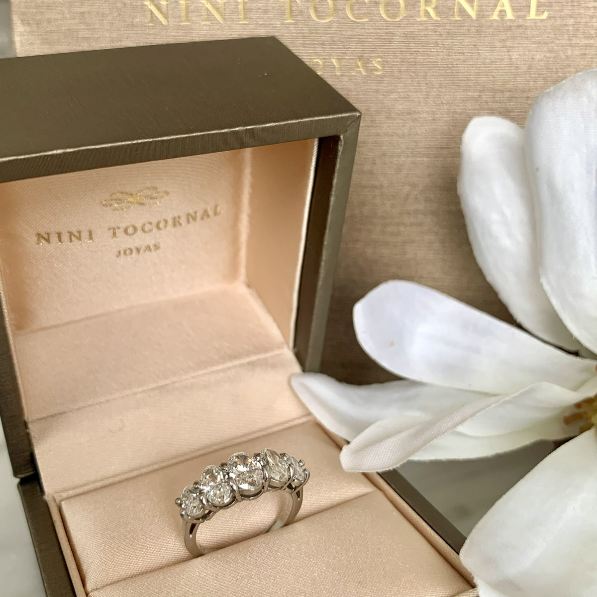Anillo Iris