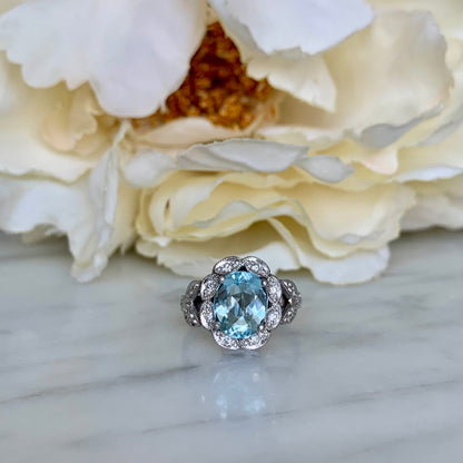 Anillo Salacia