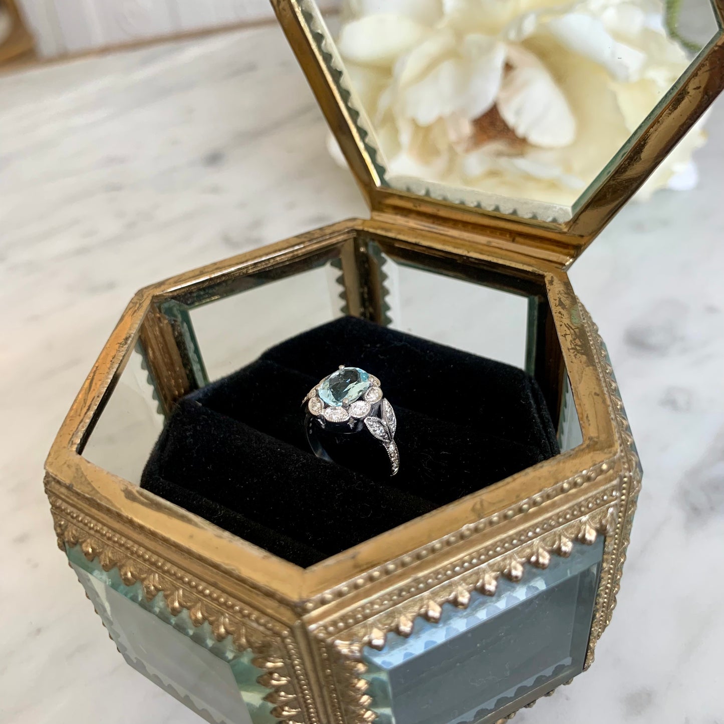 Anillo Salacia
