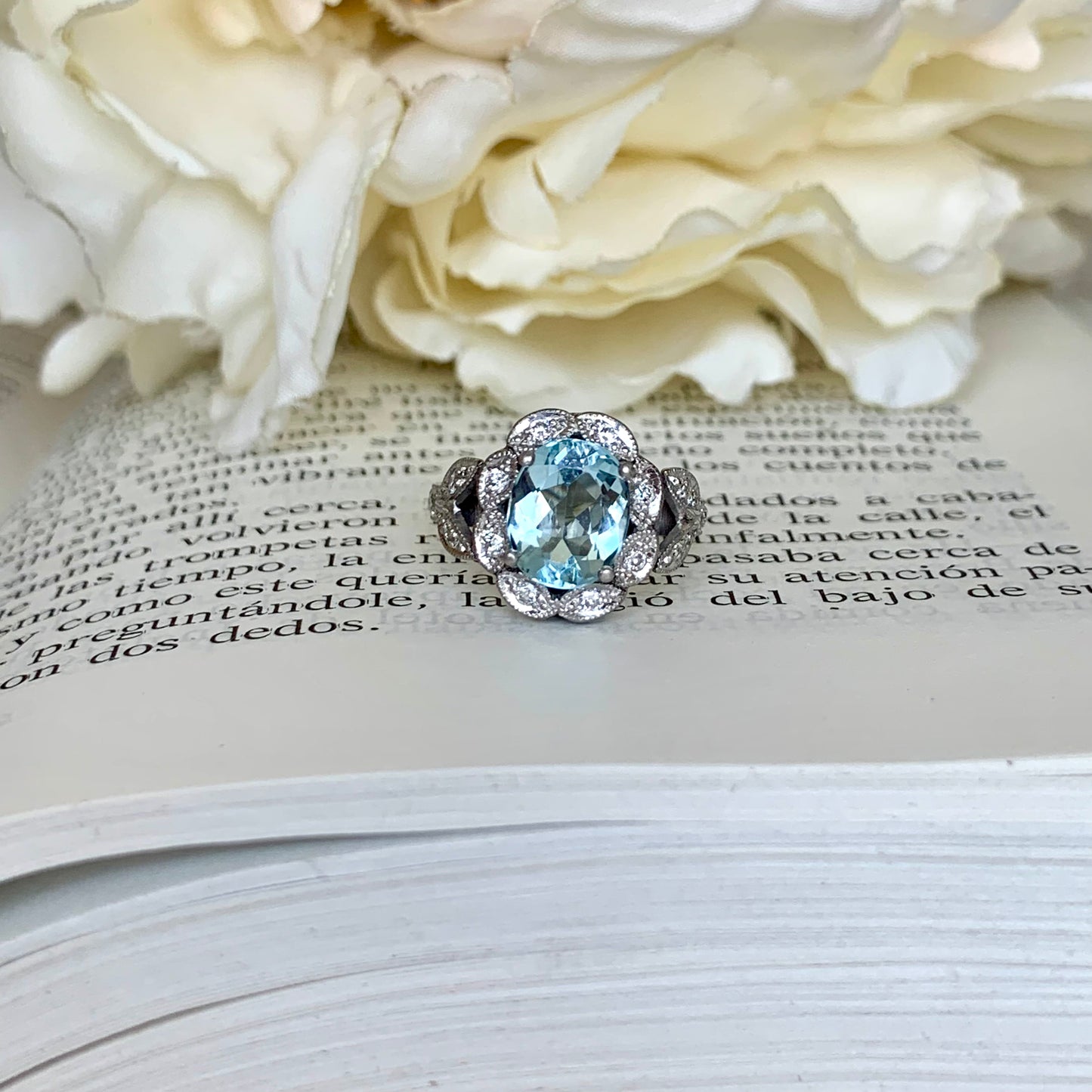 Anillo Salacia