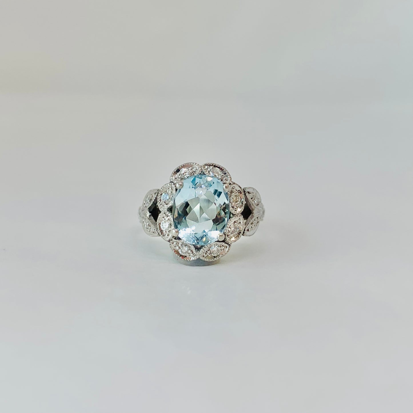 Anillo Salacia