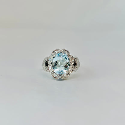 Anillo Salacia