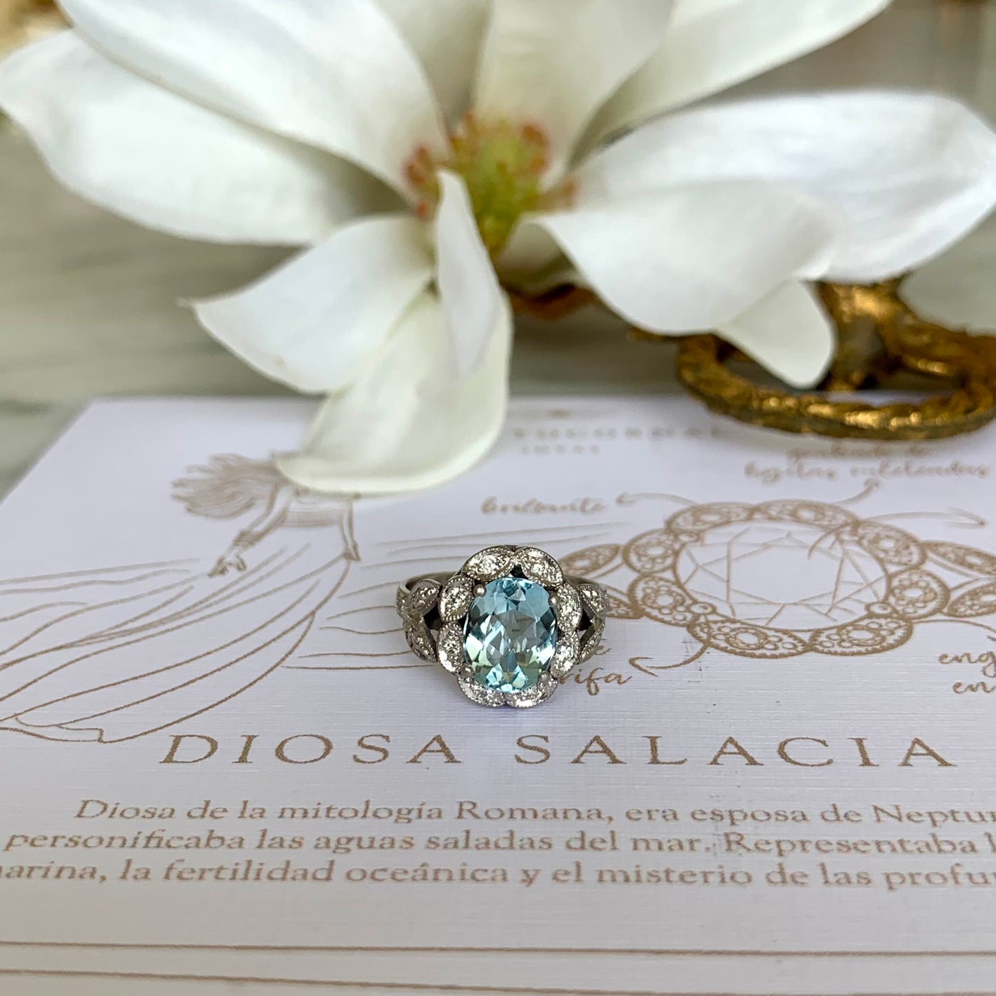 Anillo Salacia