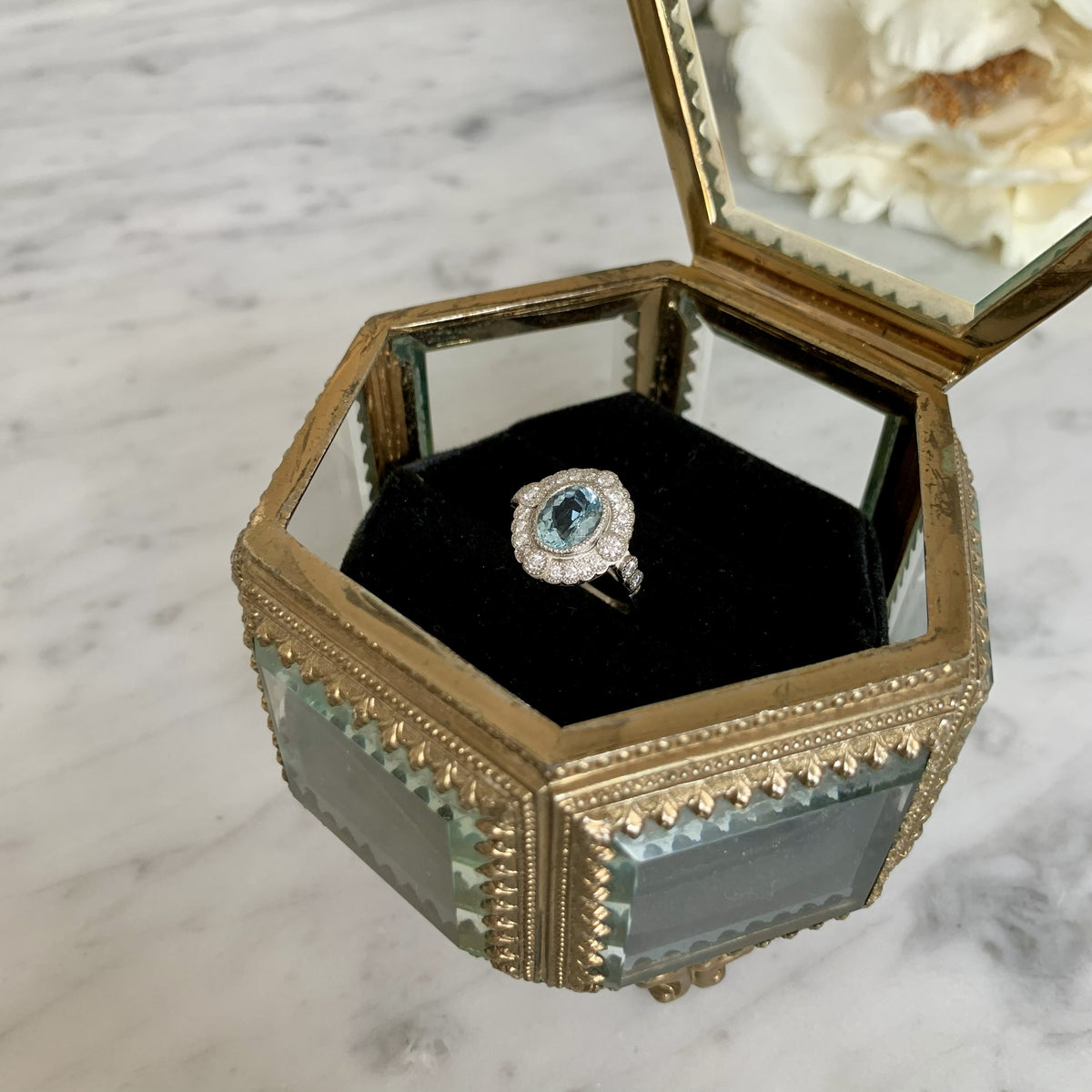 Anillo Hestia