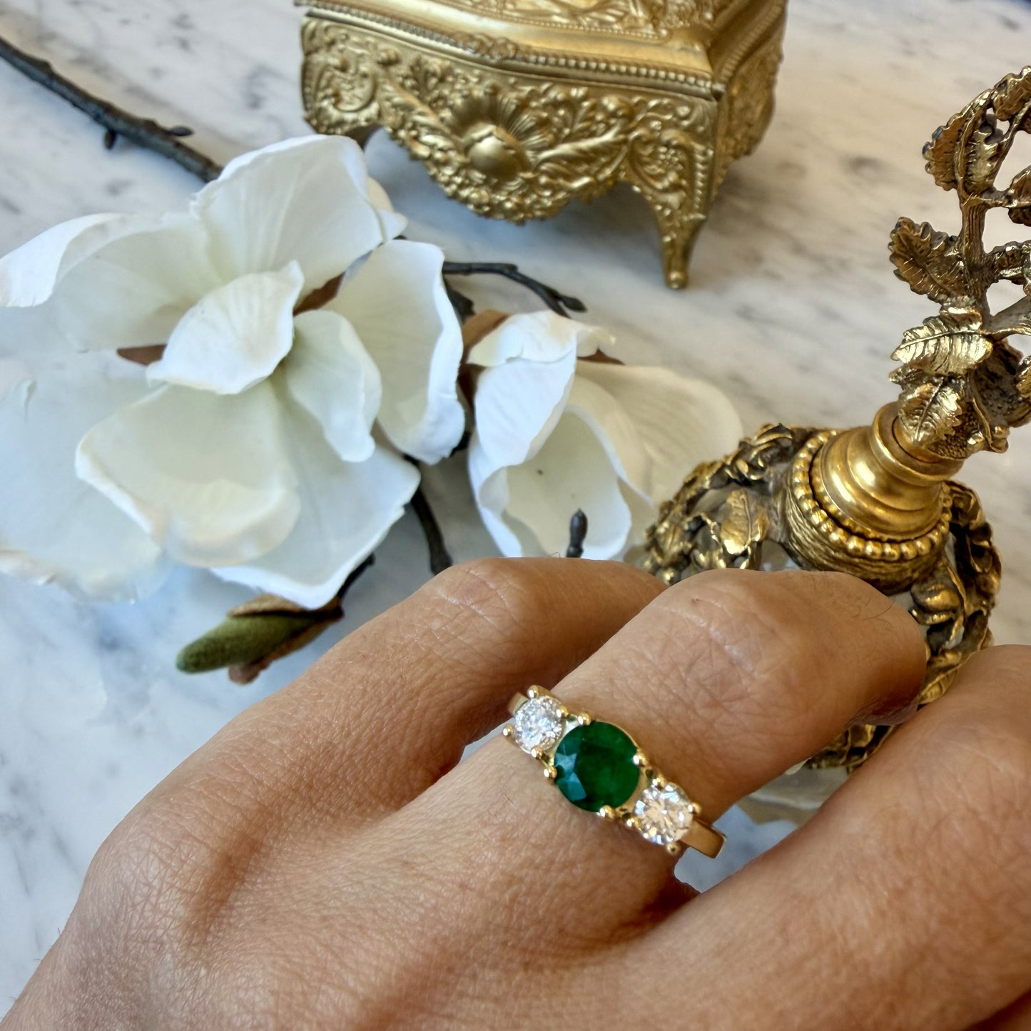Anillo Mut II