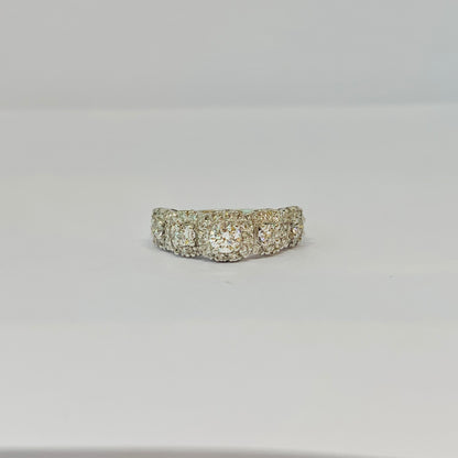 Anillo Sejmet II