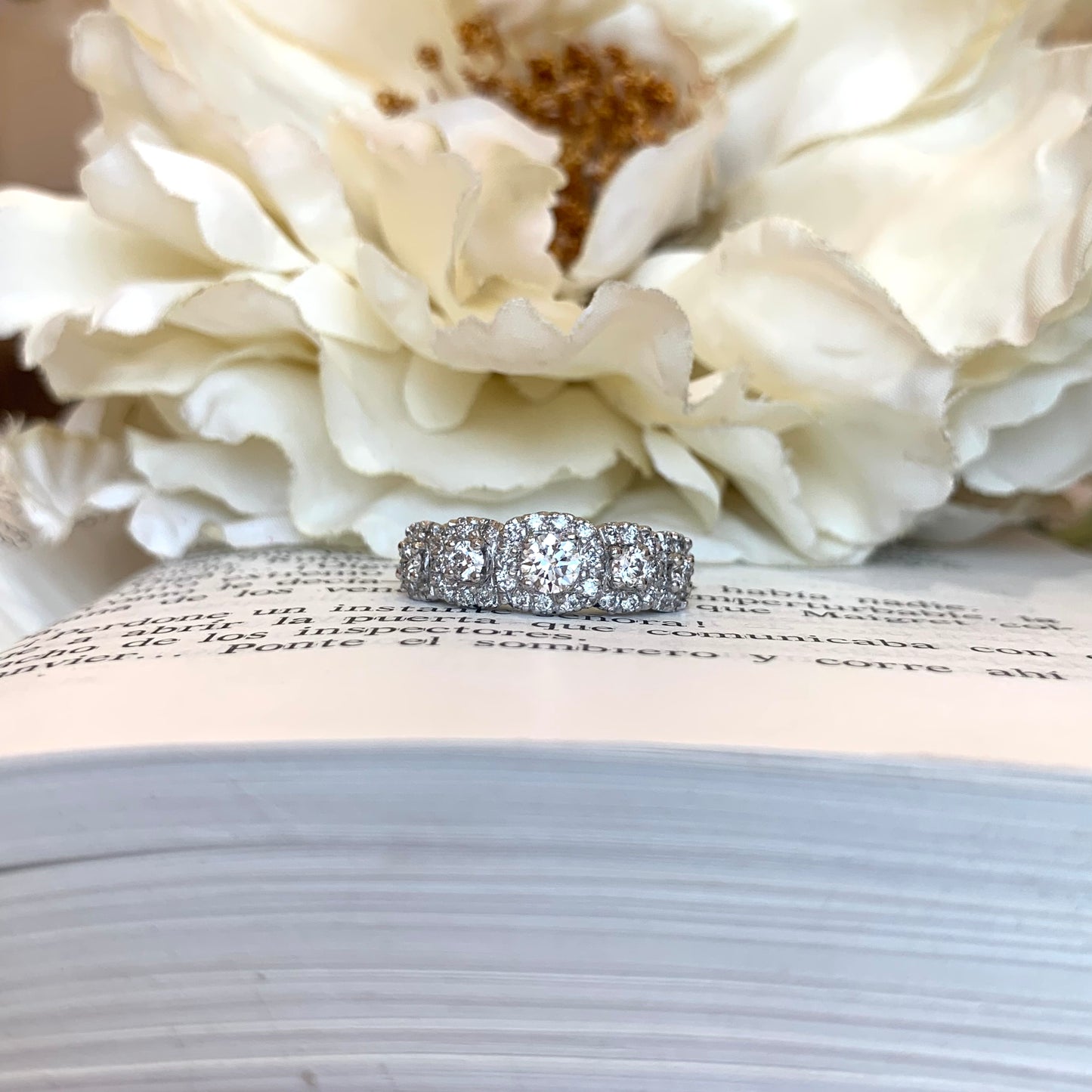 Anillo Sejmet II