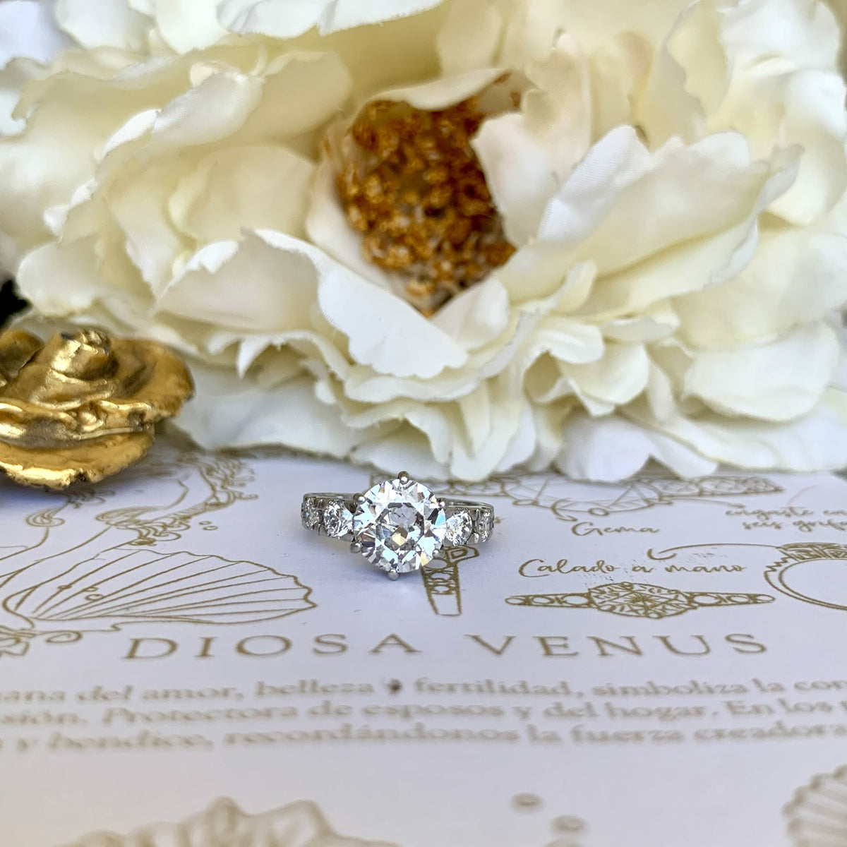 Anillo Venus I