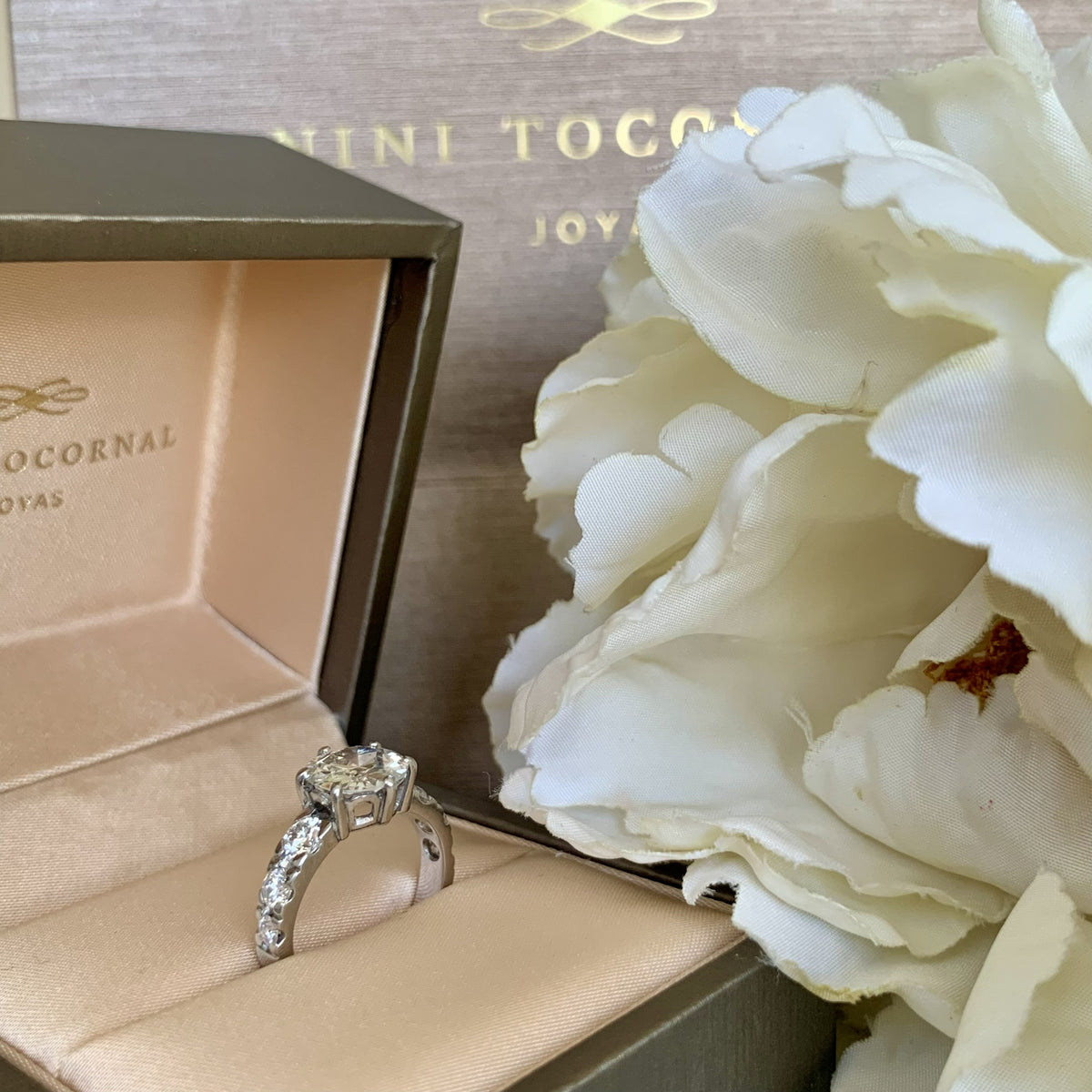 Anillo Venus I