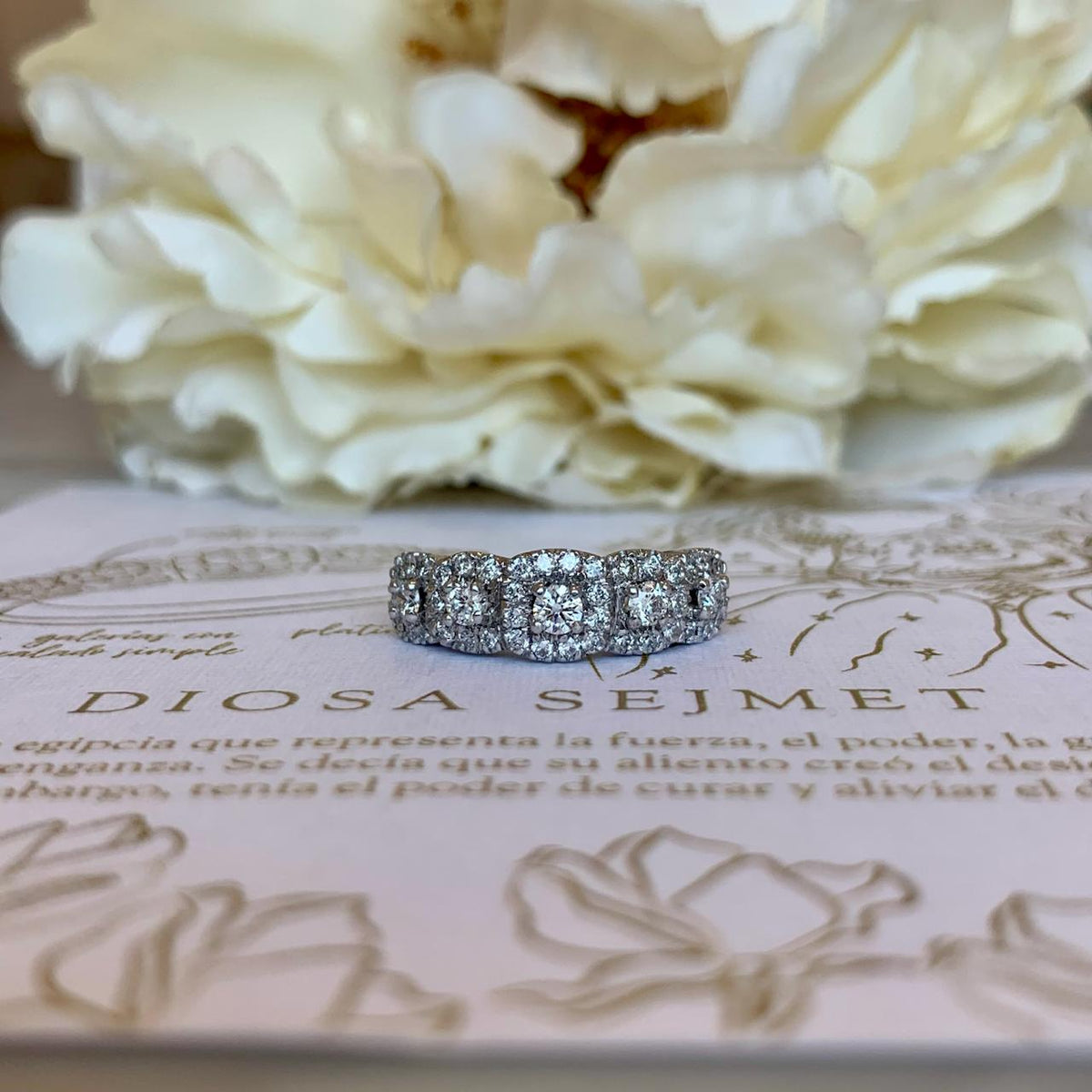 Anillo Sejmet II