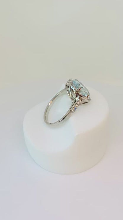 Anillo Netla